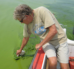 Dr Hans Paerl collecting a sample from an algal bloom caused by blue-green algae or cyanobacteria