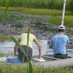 Adam Gold stormwater pond research